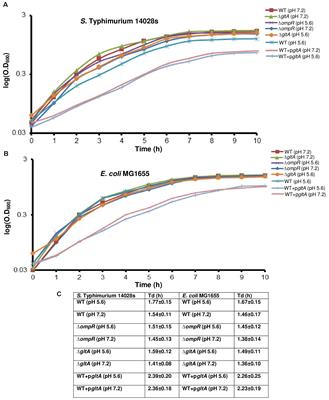 A New Role of OmpR in Acid and Osmotic Stress in Salmonella and E. coli